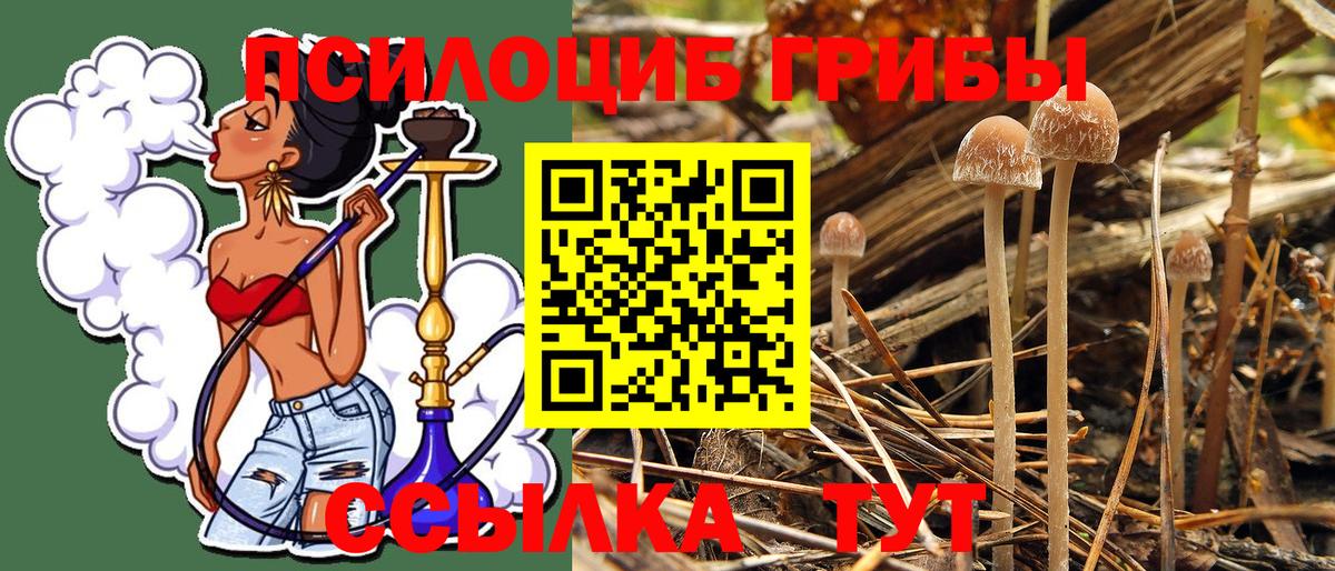 Псилоцибиновые грибы MAGIC MUSHROOMS Артёмовский