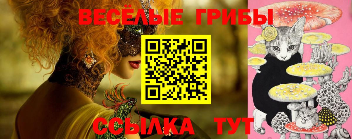 как найти наркотики  Псилоцибиновые грибы мицелий  Артёмовский  Галлюциногенные грибы мухоморы 